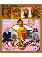 新TV見仏記 33 ナニワ四天王寺編 （ブルーレイディスク）