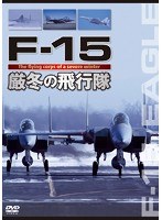 F-15 厳冬の飛行隊