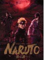 ライブ・スペクタクル NARUTO-ナルト-～暁の調べ～ 2019 （完全生産限定版）