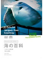 ジャック=イヴ・クストー 海の百科 7 ユカタンに眠る鮫/巨大な白鮫