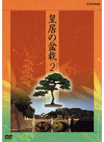 NHK DVD 皇居の盆栽 第二巻