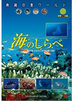 南海の魚ワールド 海のしらべ 映像魚類図鑑