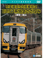 E257系特急 さざなみ（東京～館山）
