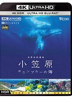ビコム 4K Relaxes（リラクシーズ） 世界自然遺産 小笠原 ～ボニンブルーの海～ （4K ULTRA HD ブルーレ...