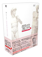 愛のカタチ DVD-BOX（2枚組）
