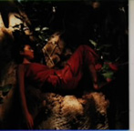 Misia/Mother Father Brother Sister（アルバム）