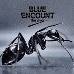 BLUE ENCOUNT/Survivor（シングル）