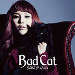 矢沢洋子/Bad Cat（アルバム）