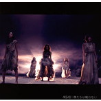 AKB48/僕たちは戦わない（Type B）（シングル）