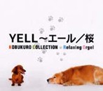 YELL～エール/桜～コブクロ・コレクション/α波オルゴール（アルバム）