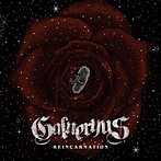 Galneryus/REINCARNATION（アルバム）