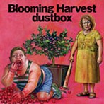 dustbox/Blooming Harvest（アルバム）