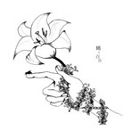 Zaien Lily/蝿ト百合（アルバム）