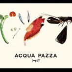 pug27/Acqua pazza（アルバム）
