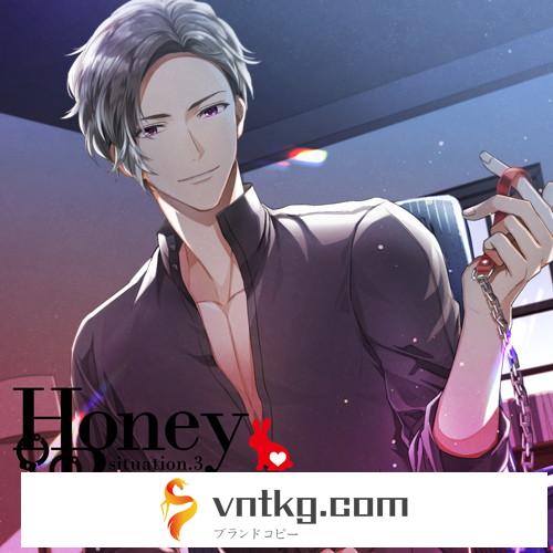 【HBG限定盤】Honey Bunny situation.3（CV.茶介）