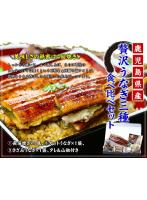 希少な超特大サイズ鹿児島うなぎ蒲焼き贅沢3種セット タレ＆山椒×2袋 化粧箱でお届け