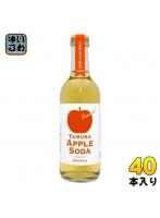 タムラファーム タムラ アップルソーダ グランデ 300ml 瓶 20本×2 まとめ買い りんごジュース アップル...